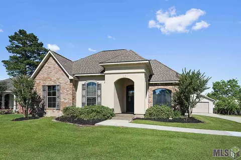 28018 Great Eagle Ave, Walker, LA 70785 photo 1