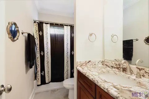 28018 Great Eagle Ave, Walker, LA 70785 photo 9
