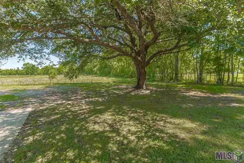 14311 Denham Rd, Pride, LA 70818 photo 16