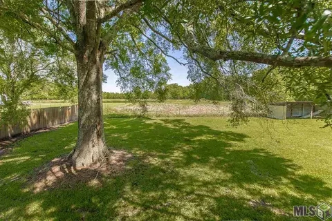 14311 Denham Rd, Pride, LA 70818 photo 20