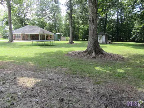 34514 Weiss Rd, Walker, LA 70785 photo 11