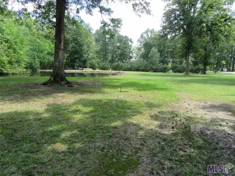 34514 Weiss Rd, Walker, LA 70785 photo 13