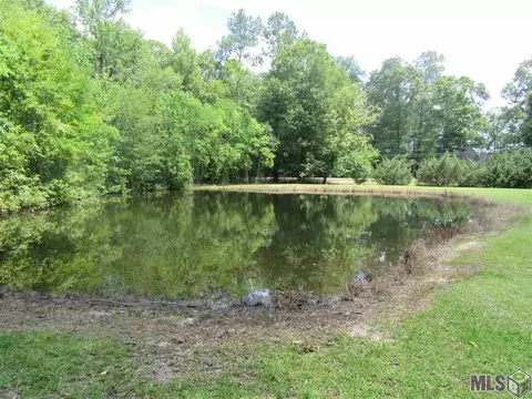 34514 Weiss Rd, Walker, LA 70785 photo 6