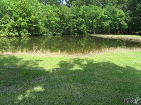 34514 Weiss Rd, Walker, LA 70785 photo 5