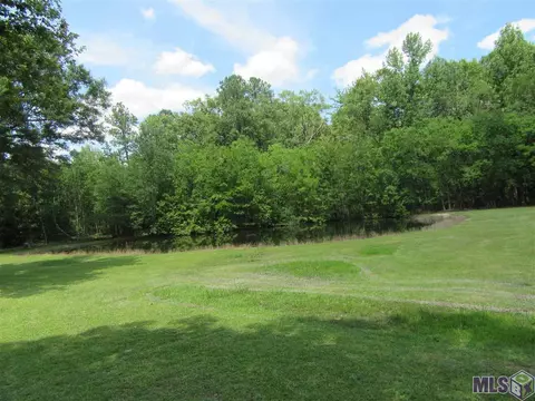 34514 Weiss Rd, Walker, LA 70785 photo 7