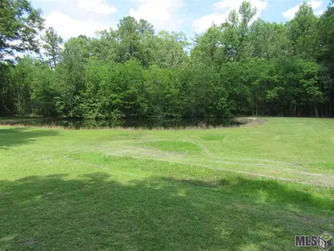 34514 Weiss Rd, Walker, LA 70785 photo 3