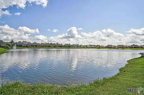 13213 Williamsburg Dr, Walker, LA 70785 photo 5