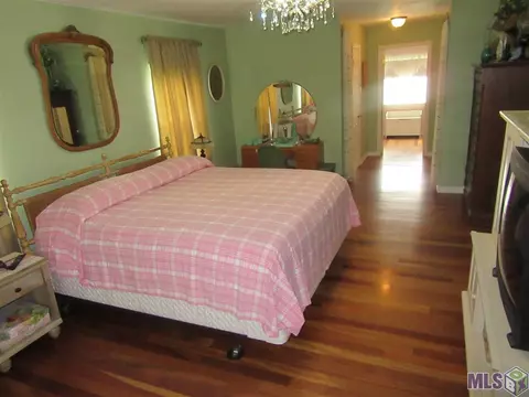 36510 N Walker Rd, Walker, LA 70785 photo 18