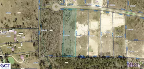 12734 Thoroughbred Ln, Walker, LA 70785 photo 1