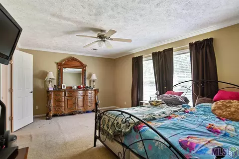 33565 Weiss Rd, Walker, LA 70785 photo 8