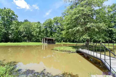 33565 Weiss Rd, Walker, LA 70785 photo 12