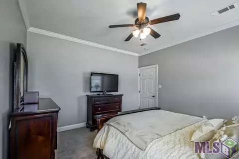 15088 Coldwater Dr, Walker, LA 70785 photo 14