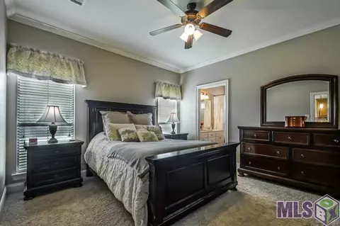 15088 Coldwater Dr, Walker, LA 70785 photo 12