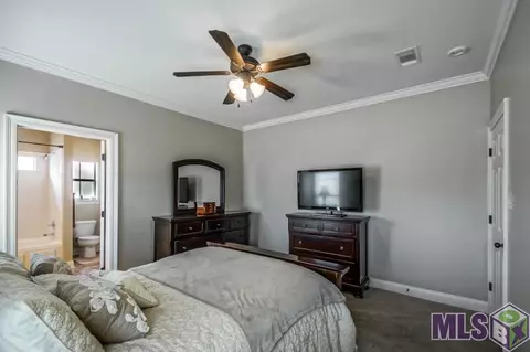 15088 Coldwater Dr, Walker, LA 70785 photo 13