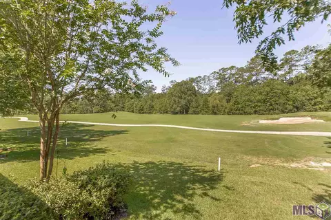23831 Monarch Pt, Springfield, LA 70462 photo 24