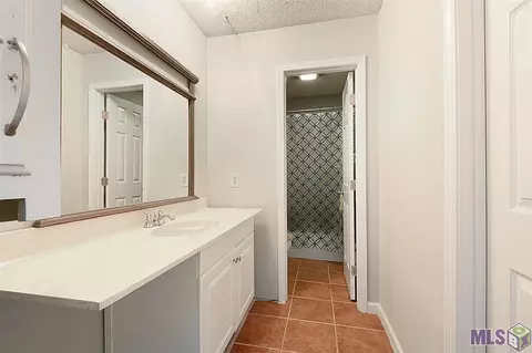 12765 Ina Dr, Walker, LA 70785 photo 8
