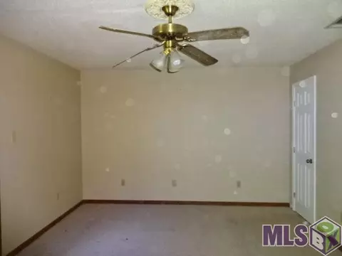 31401 River Pines Dr, Springfield, LA 70462 photo 19