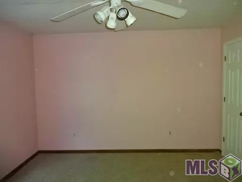 31401 River Pines Dr, Springfield, LA 70462 photo 20