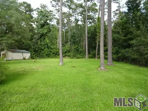 31401 River Pines Dr, Springfield, LA 70462 photo 18