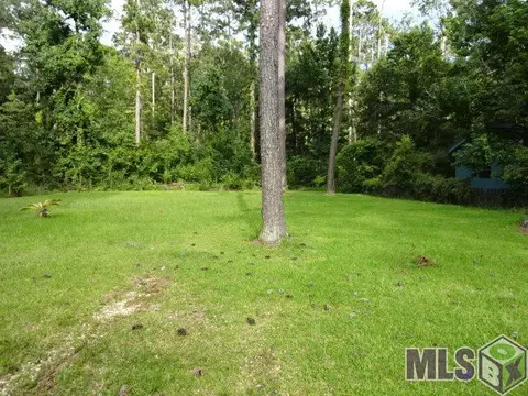 31401 River Pines Dr, Springfield, LA 70462 photo 8