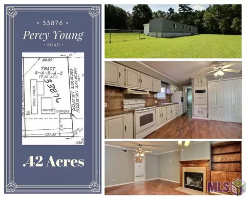 33876 Percy Young Rd, Walker, LA 70785 photo 1