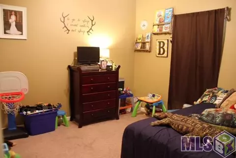 30388 Jackson Ave, Walker, LA 70785 photo 9