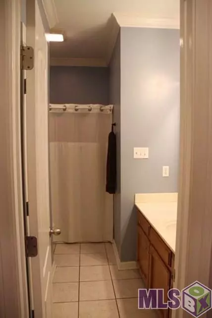 30388 Jackson Ave, Walker, LA 70785 photo 11