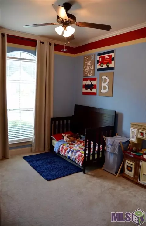 13359 Williamsburg Dr, Walker, LA 70785 photo 11