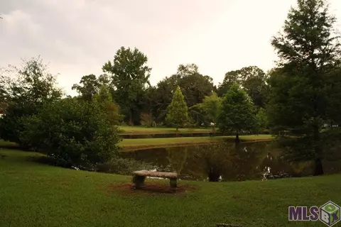 12397 Cameron Ln, Walker, LA 70785 photo 6