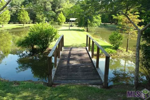12397 Cameron Ln, Walker, LA 70785 photo 5