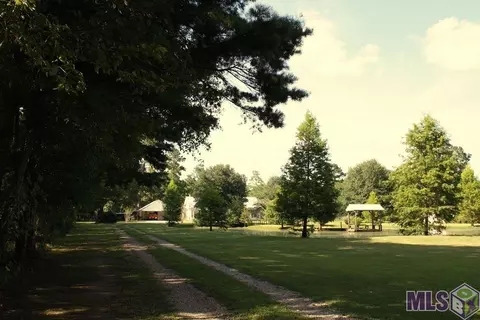 12397 Cameron Ln, Walker, LA 70785 photo 16