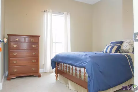 34189 Springlake Dr, Walker, LA 70785 photo 15