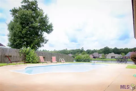 34189 Springlake Dr, Walker, LA 70785 photo 21