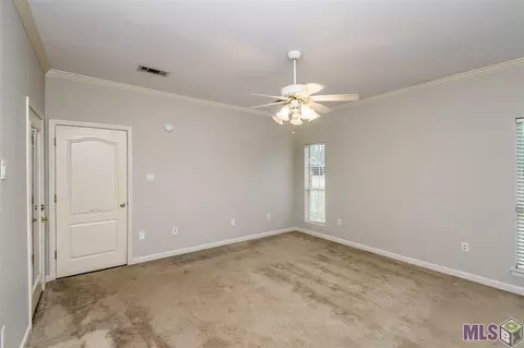 32205 N Corbin Rd, Walker, LA 70785 photo 16