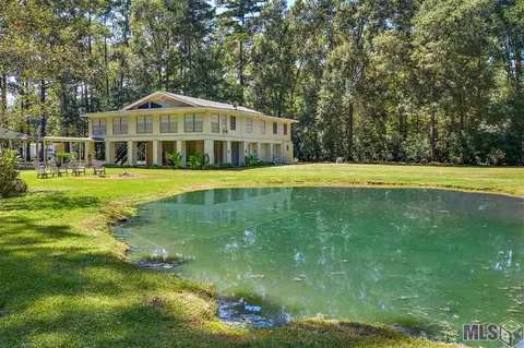 14490 Pinkney Ln, Walker, LA 70785 photo 10
