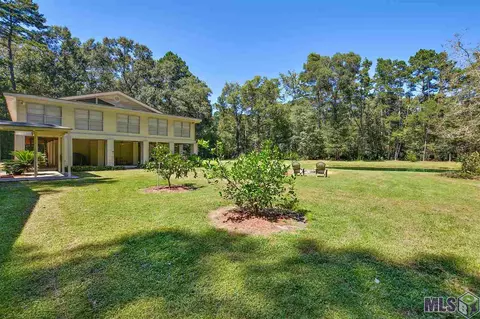 14490 Pinkney Ln, Walker, LA 70785 photo 8