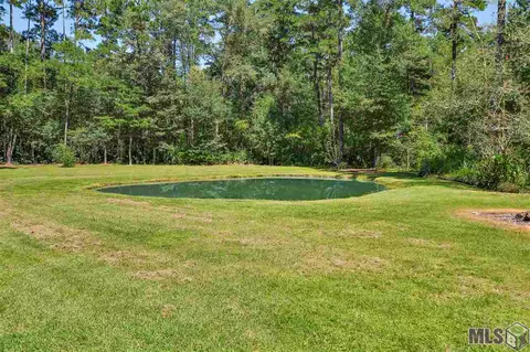 14490 Pinkney Ln, Walker, LA 70785 photo 13