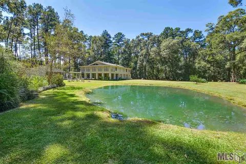 14490 Pinkney Ln, Walker, LA 70785 photo 9