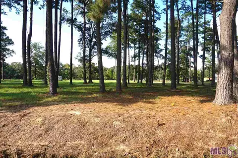 13637 Hopehaven, Walker, LA 70785 photo 23
