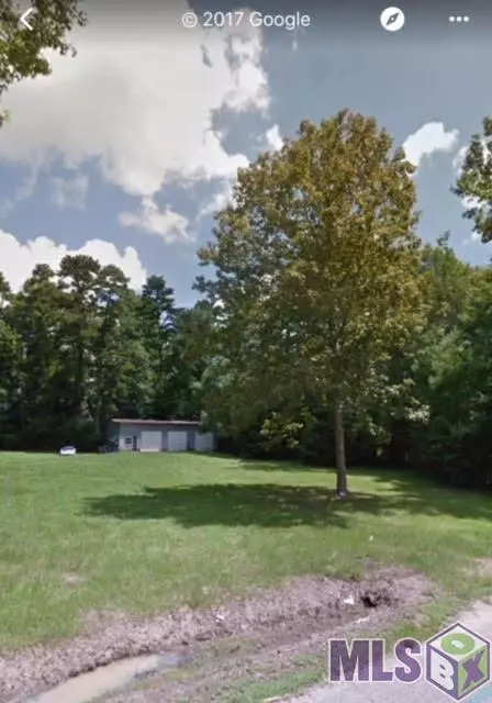 13667 Hartman Ln, Walker, LA 70785 photo 1