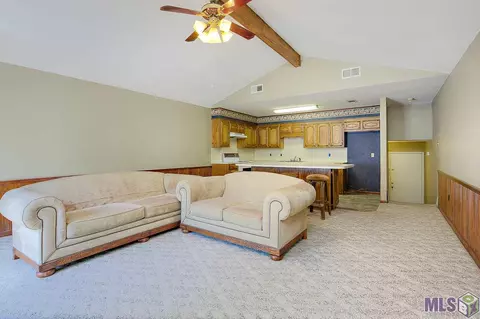 31670 River Pines Dr, Springfield, LA 70462 photo 7