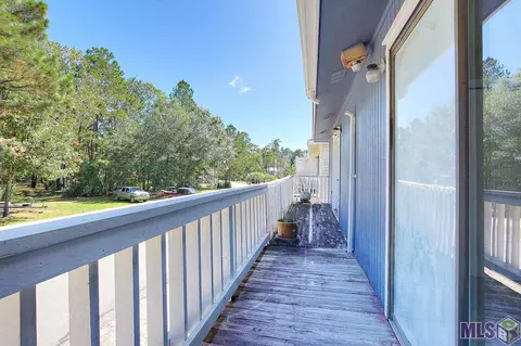 31670 River Pines Dr, Springfield, LA 70462 photo 5