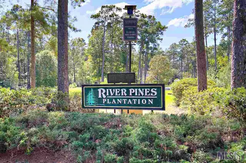 31670 River Pines Dr, Springfield, LA 70462 photo 17