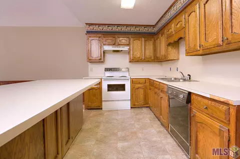 31670 River Pines Dr, Springfield, LA 70462 photo 9