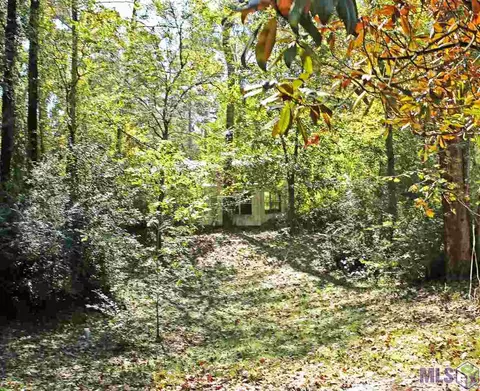 28700 Rae Dr, Walker, LA 70785 photo 4
