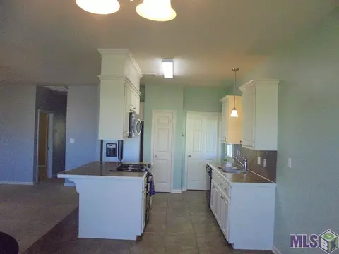 13546 Lily Ave, Walker, LA 70785 photo 4