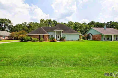 13390 Savannah Dr, Walker, LA 70785 photo 1