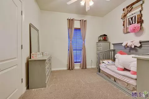 34059 Spring Lake Dr, Walker, LA 70785 photo 11