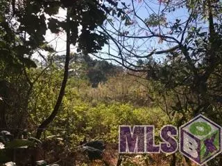 0 Lower Rome Rd, Springfield, LA 70462 photo 7
