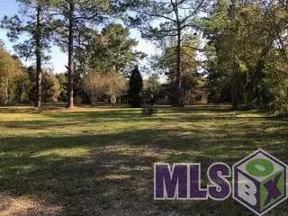 0 Lower Rome Rd, Springfield, LA 70462 photo 1